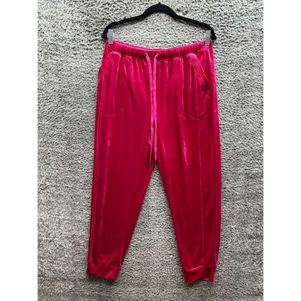 Anthropologie Saturday Sunday Rosie Velour‎ Jogger Pants Pink Womens Size M